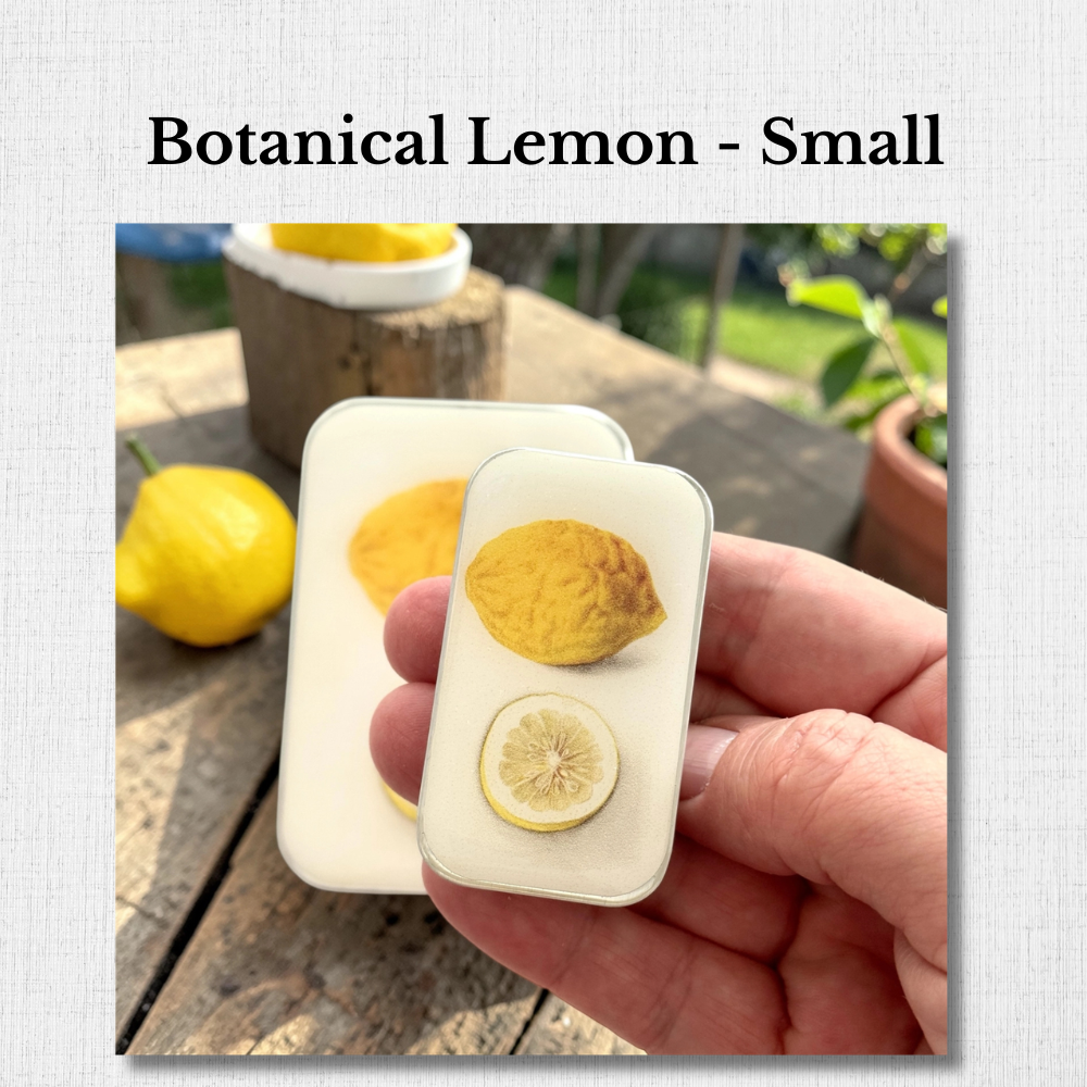 Large Enameled Tins by Firefly Notes