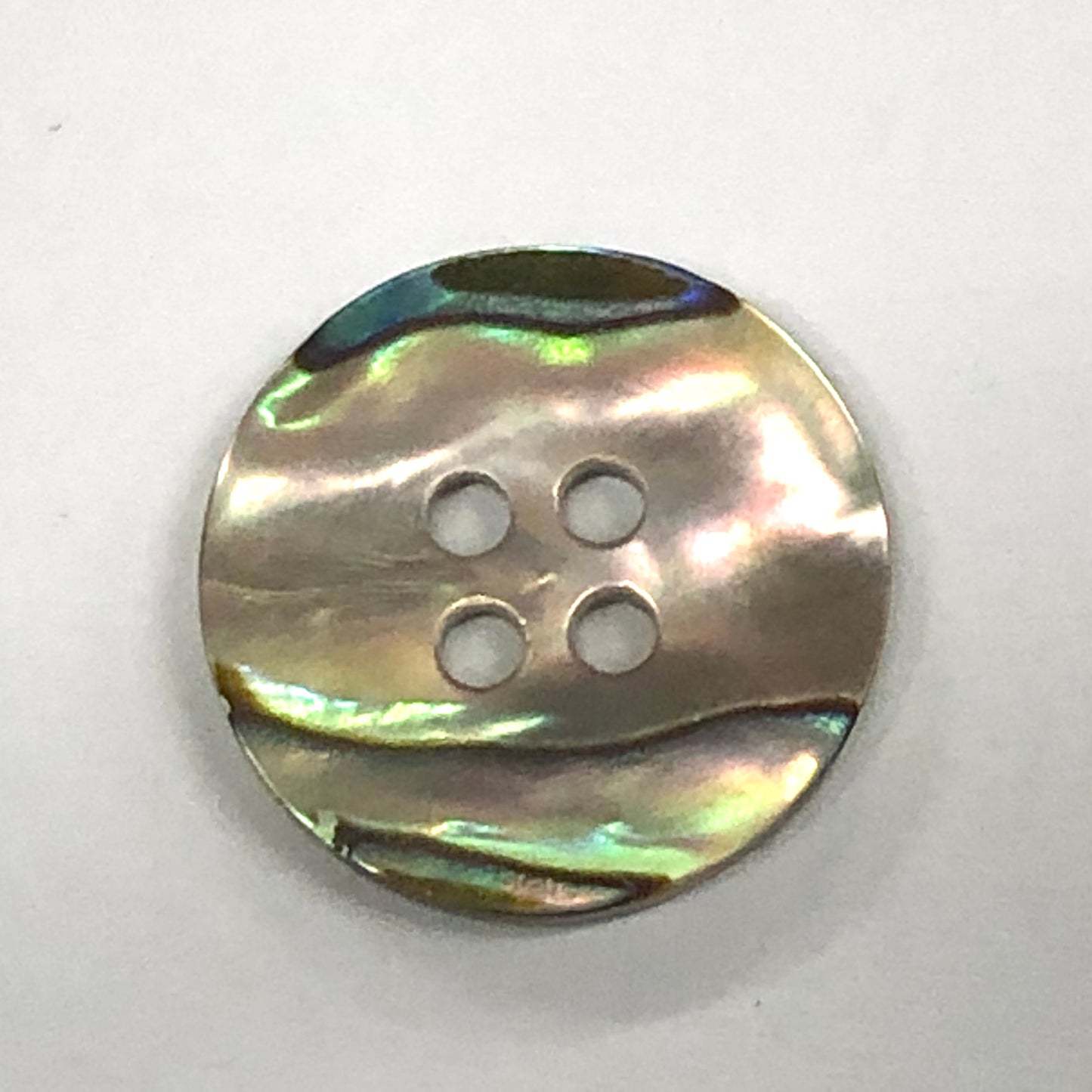 Boutons Coquillage