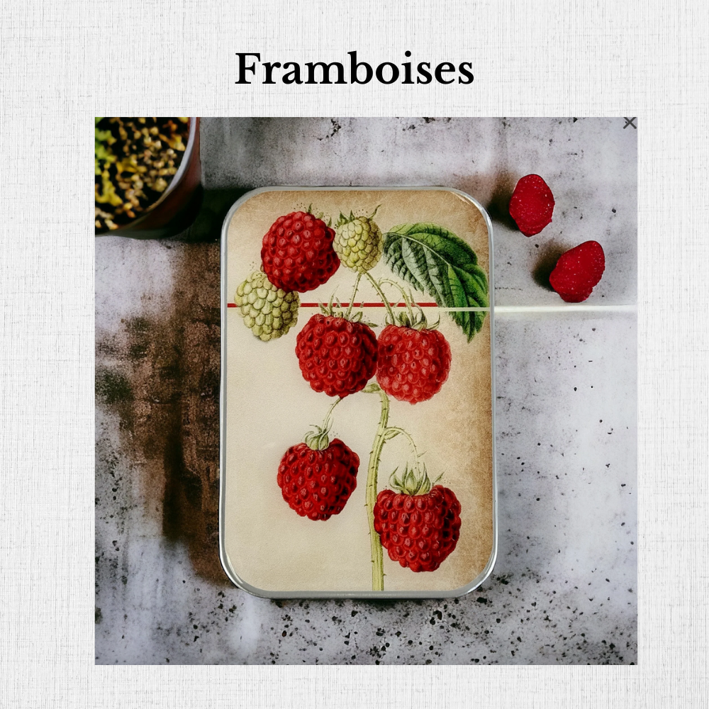 Large Enameled Tins by Firefly Notes