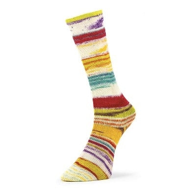Fil à chaussettes  "Evolution Chroma Socks" par Estelle