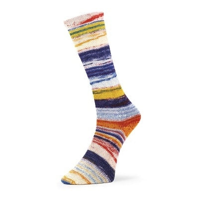 Fil à chaussettes  "Evolution Chroma Socks" par Estelle