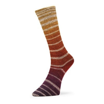Fil à chaussettes  "Evolution Aurora Socks" par Estelle