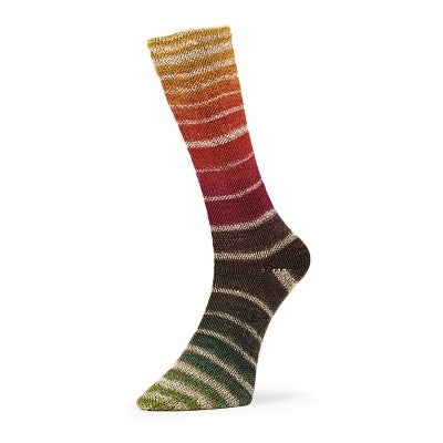 Fil à chaussettes  "Evolution Aurora Socks" par Estelle