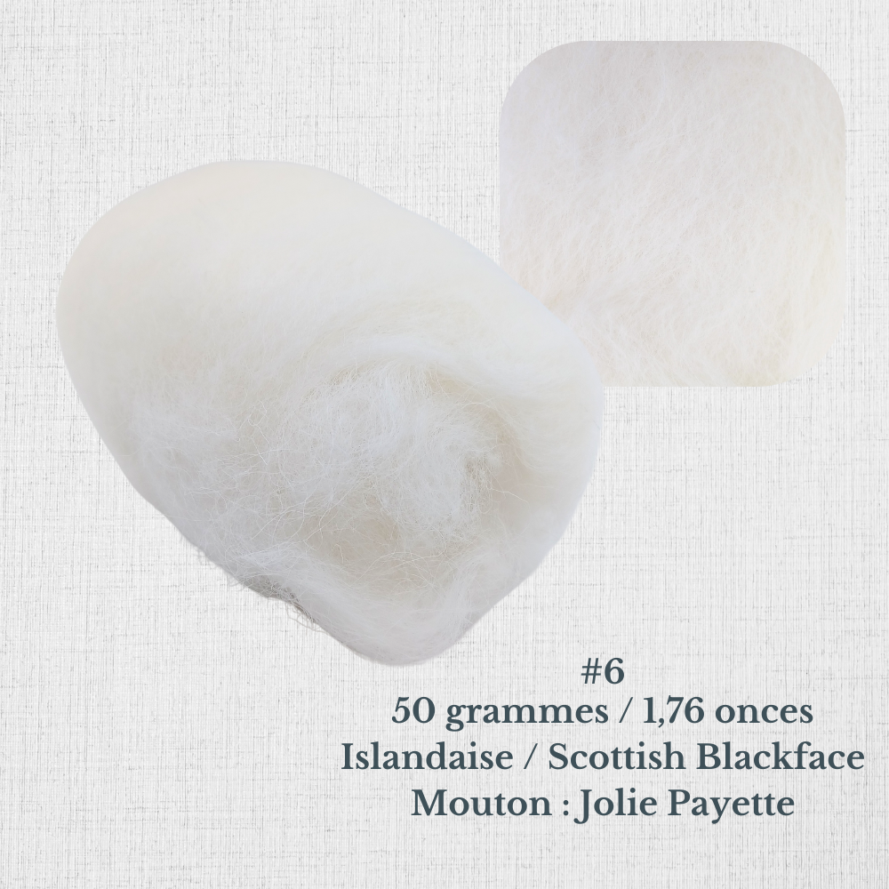 Laine cardée à filer par Le Mouton Polaire