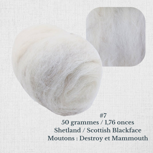 Carded wool for spinning by Le Mouton Polaire